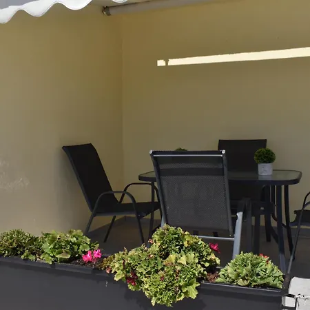 Fotini's PalaiónTsiflíkion