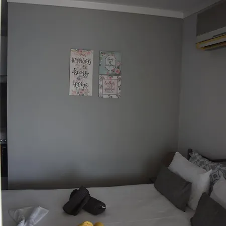 Fotini's Apartament PalaiónTsiflíkion
